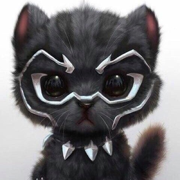 Meet your Posher, Genesis - Picture 1 of 1